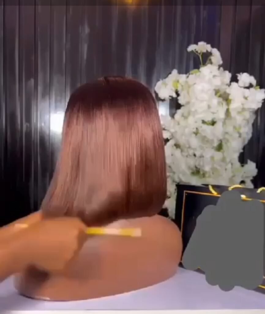 Wig Gina 💯 human hair plus free gift